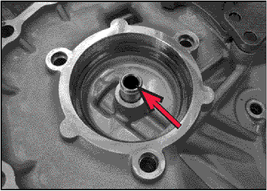 520065657_graphic-text243